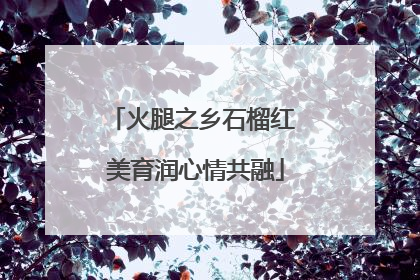 火腿之乡石榴红 美育润心情共融