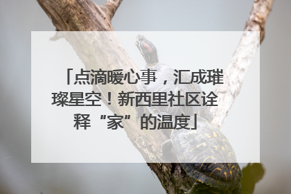 点滴暖心事，汇成璀璨星空！新西里社区诠释“家”的温度