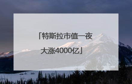 特斯拉市值一夜大涨4000亿