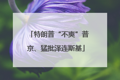 特朗普“不爽”普京、猛批泽连斯基