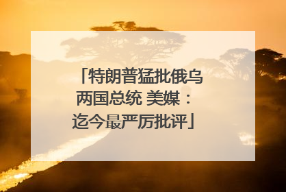 特朗普猛批俄乌两国总统 美媒：迄今最严厉批评