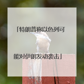 特朗普称以色列可能对伊朗发动袭击
