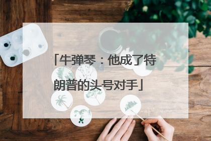 牛弹琴：他成了特朗普的头号对手