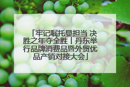 牢记嘱托显担当 决胜之年夺全胜丨丹东举行品牌消费品暨外贸优品产销对接大会