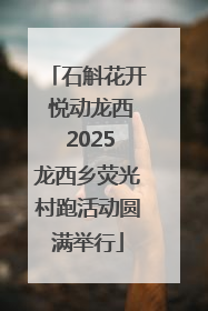 石斛花开 悦动龙西 2025龙西乡荧光村跑活动圆满举行