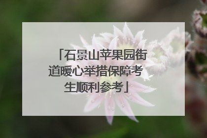 石景山苹果园街道暖心举措保障考生顺利参考