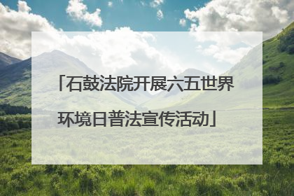 石鼓法院开展六五世界环境日普法宣传活动