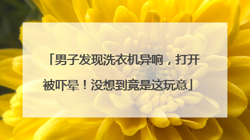 男子发现洗衣机异响，打开被吓晕！没想到竟是这玩意