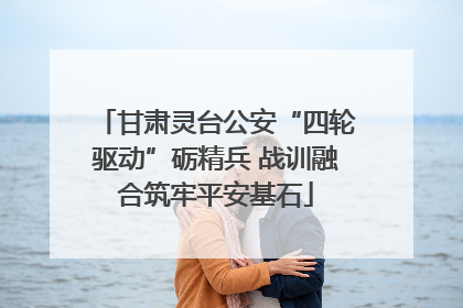 甘肃灵台公安“四轮驱动”砺精兵 战训融合筑牢平安基石