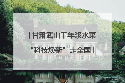 甘肃武山千年浆水菜“科技焕新”走全国