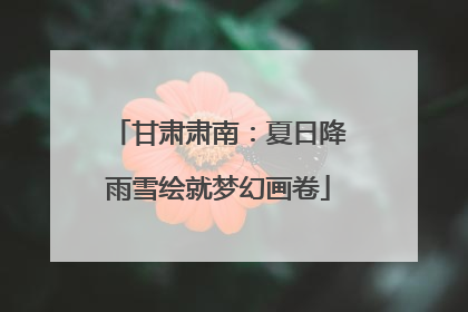 甘肃肃南：夏日降雨雪绘就梦幻画卷