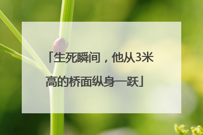 生死瞬间，他从3米高的桥面纵身一跃
