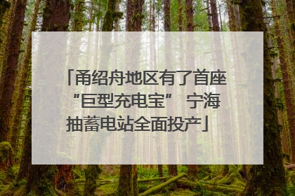 甬绍舟地区有了首座“巨型充电宝” 宁海抽蓄电站全面投产