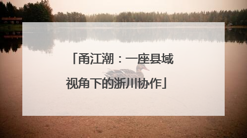 甬江潮：一座县域视角下的浙川协作
