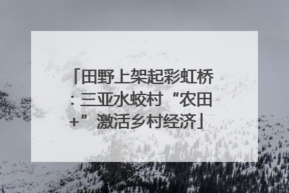 田野上架起彩虹桥：三亚水蛟村“农田+”激活乡村经济