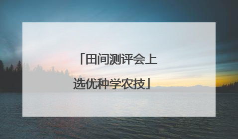 田间测评会上选优种学农技