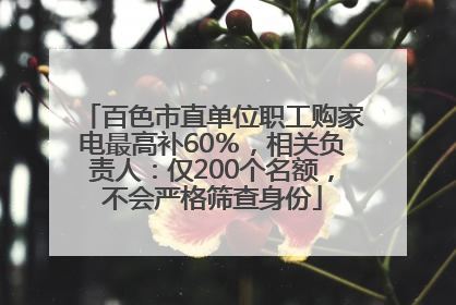 百色市直单位职工购家电最高补60％，相关负责人：仅200个名额，不会严格筛查身份