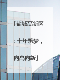 盐城高新区：十年筑梦，向高向新