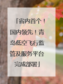 省内首个！国内领先！青岛低空飞行监管及服务平台完成部署