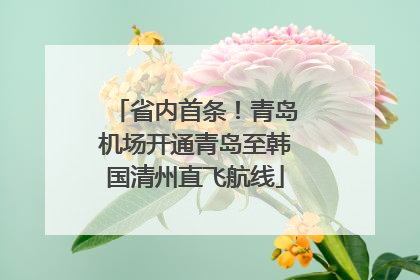 省内首条！青岛机场开通青岛至韩国清州直飞航线