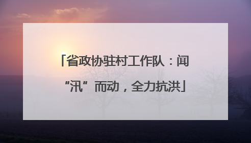 省政协驻村工作队：闻“汛”而动，全力抗洪