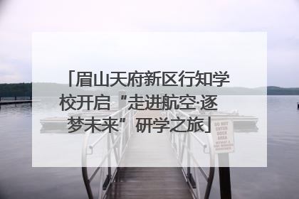 眉山天府新区行知学校开启“走进航空·逐梦未来”研学之旅