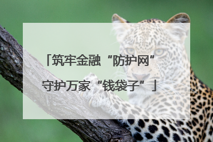 筑牢金融“防护网” 守护万家“钱袋子”