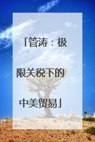 管涛：极限关税下的中美贸易