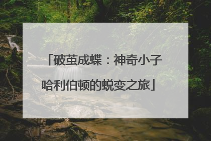 破茧成蝶：神奇小子哈利伯顿的蜕变之旅