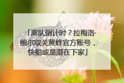 离队倒计时？拉梅洛·鲍尔取关黄蜂官方账号，快船或是潜在下家