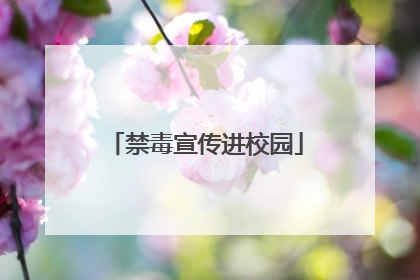 禁毒宣传进校园