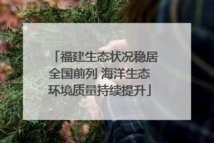 福建生态状况稳居全国前列 海洋生态环境质量持续提升