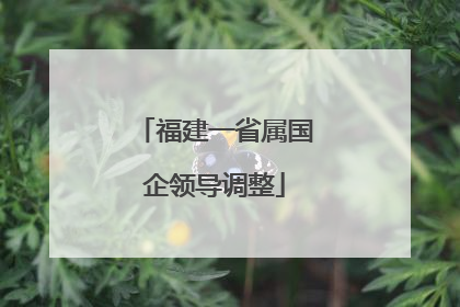 福建一省属国企领导调整