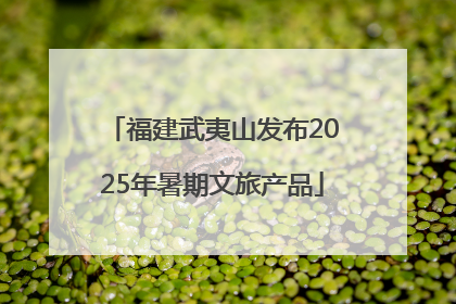 福建武夷山发布2025年暑期文旅产品