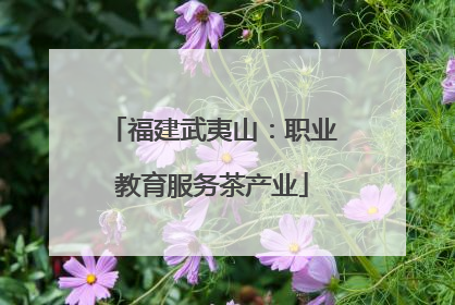福建武夷山：职业教育服务茶产业