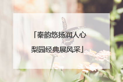秦韵悠扬润人心 梨园经典展风采