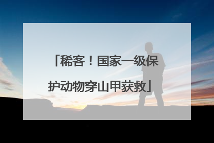 稀客！国家一级保护动物穿山甲获救