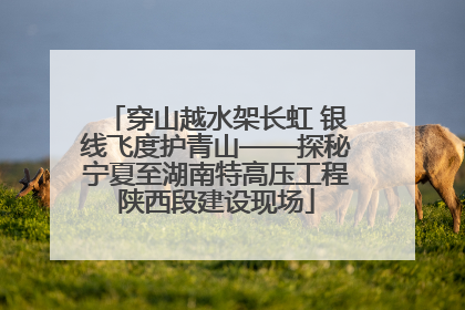 穿山越水架长虹 银线飞度护青山——探秘宁夏至湖南特高压工程陕西段建设现场