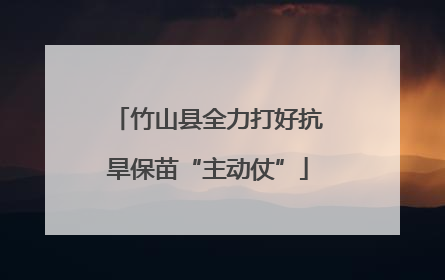竹山县全力打好抗旱保苗“主动仗”