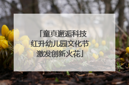 童真邂逅科技 红升幼儿园文化节激发创新火花