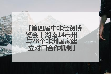 第四届中非经贸博览会丨湖南14市州与28个非洲国家建立对口合作机制