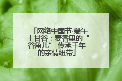 网络中国节·端午丨甘谷：麦香里的“谷角儿” 传承千年的亲情纽带