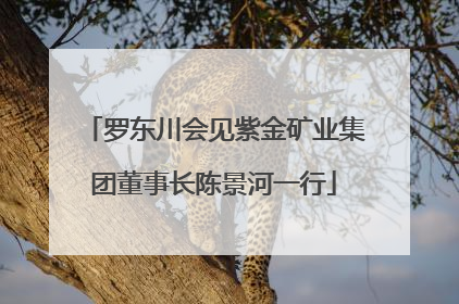 罗东川会见紫金矿业集团董事长陈景河一行