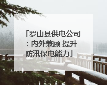 罗山县供电公司：内外兼顾 提升防汛保电能力