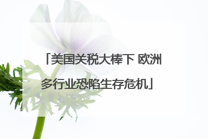 美国关税大棒下 欧洲多行业恐陷生存危机
