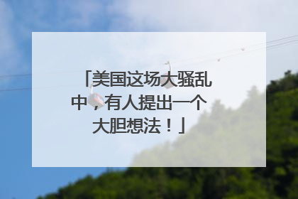 美国这场大骚乱中，有人提出一个大胆想法！