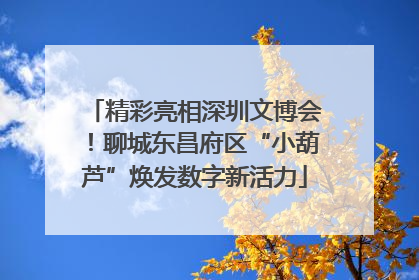 精彩亮相深圳文博会！聊城东昌府区“小葫芦”焕发数字新活力