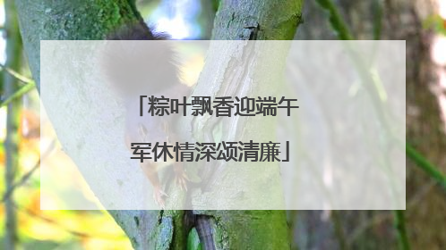 粽叶飘香迎端午 军休情深颂清廉