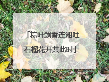 粽叶飘香连湘吐 石榴花开共此时