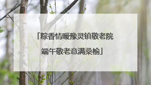粽香情暖豫灵镇敬老院 端午敬老意满桑榆